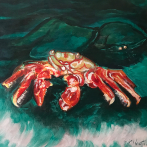 mac marty crabe
