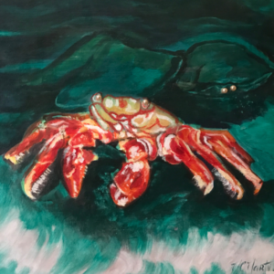 Bateau / crabe / Marie-Christine Marty